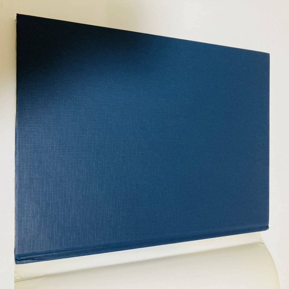 Amazon.co.jp: 希少臨床 歯周補綴Ⅲ S.J.C.D.創立10周年記念症例集