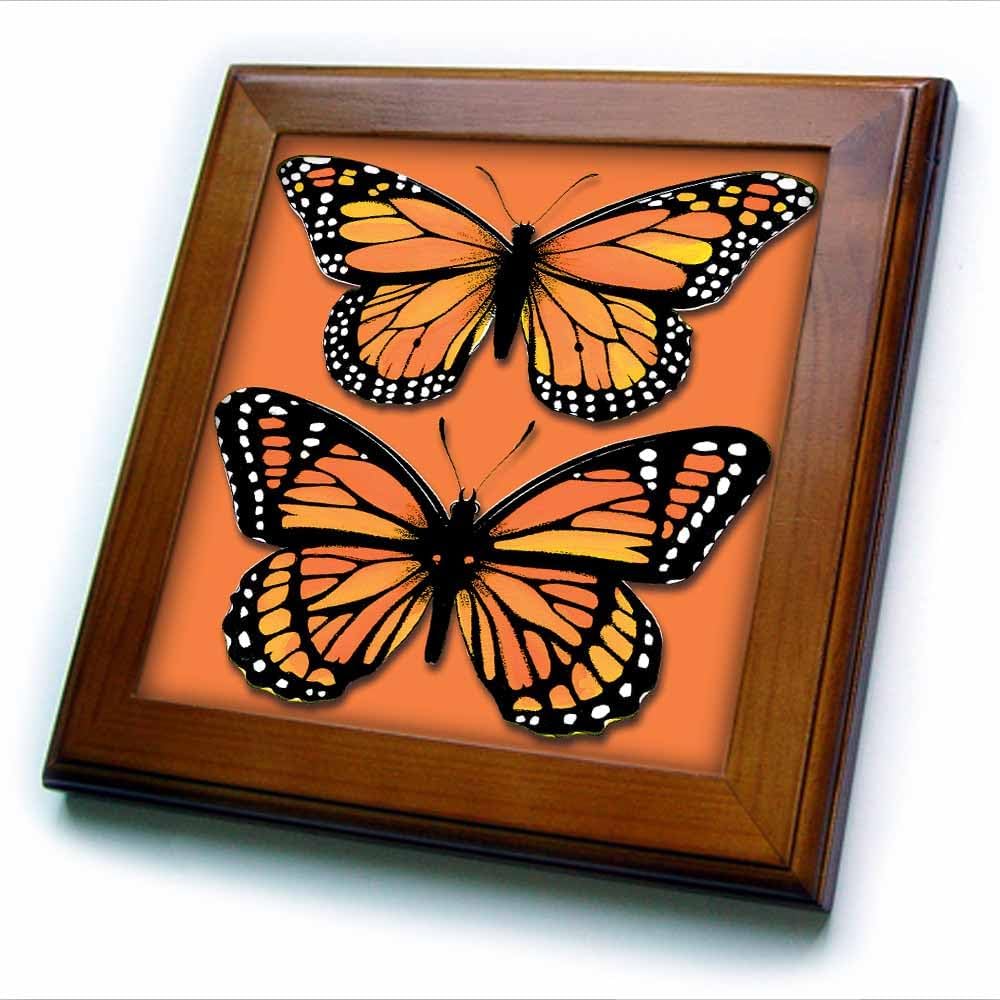 3dRose ft_170878_1 Two Colorful Monarch Butterflies on a Matching Orange Background-Framed Tile Artwork, 8 by 8-Inch