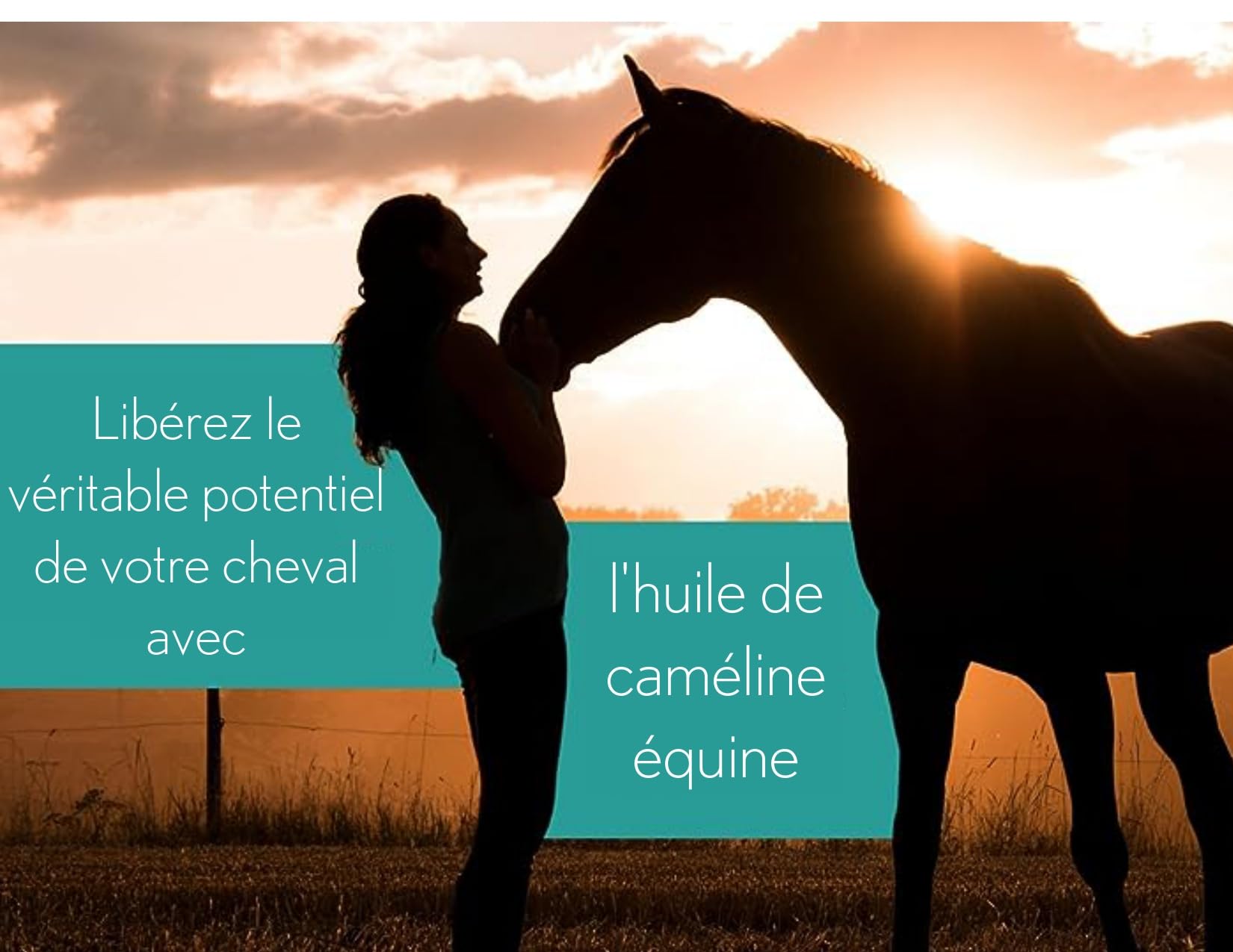 Ferme Oliméga, Huile de Caméline pour Chevaux 4L, Riche en oméga-3 polyinsaturés, Vitamine E, Pure et Pressée à Froid. Articulation Produit du Canada.