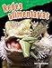 Redes alimentarias (Food Webs) (Spanish Version) (Science Readers) (Spanish Edition)