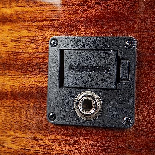 Breedlove DSCN44XCEEUAM Eco Discovery S Concert Ce 12-String Acoustic-Electric Guitar thumb #7