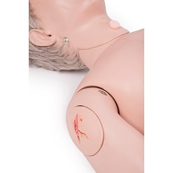 3B Scientific 1018816 P10/1 Patient Care Manikin PRO