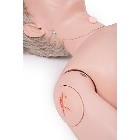 3B Scientific 1018816 P10/1 Patient Care Manikin PRO