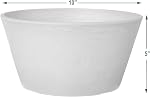 Arcadia Garden Products PSW Pot TD25TP Collection Shallow Bulb Pan Planter for Succulents, Bonsai, Fairy Gardens, Herbs, 10-inch, Taupe