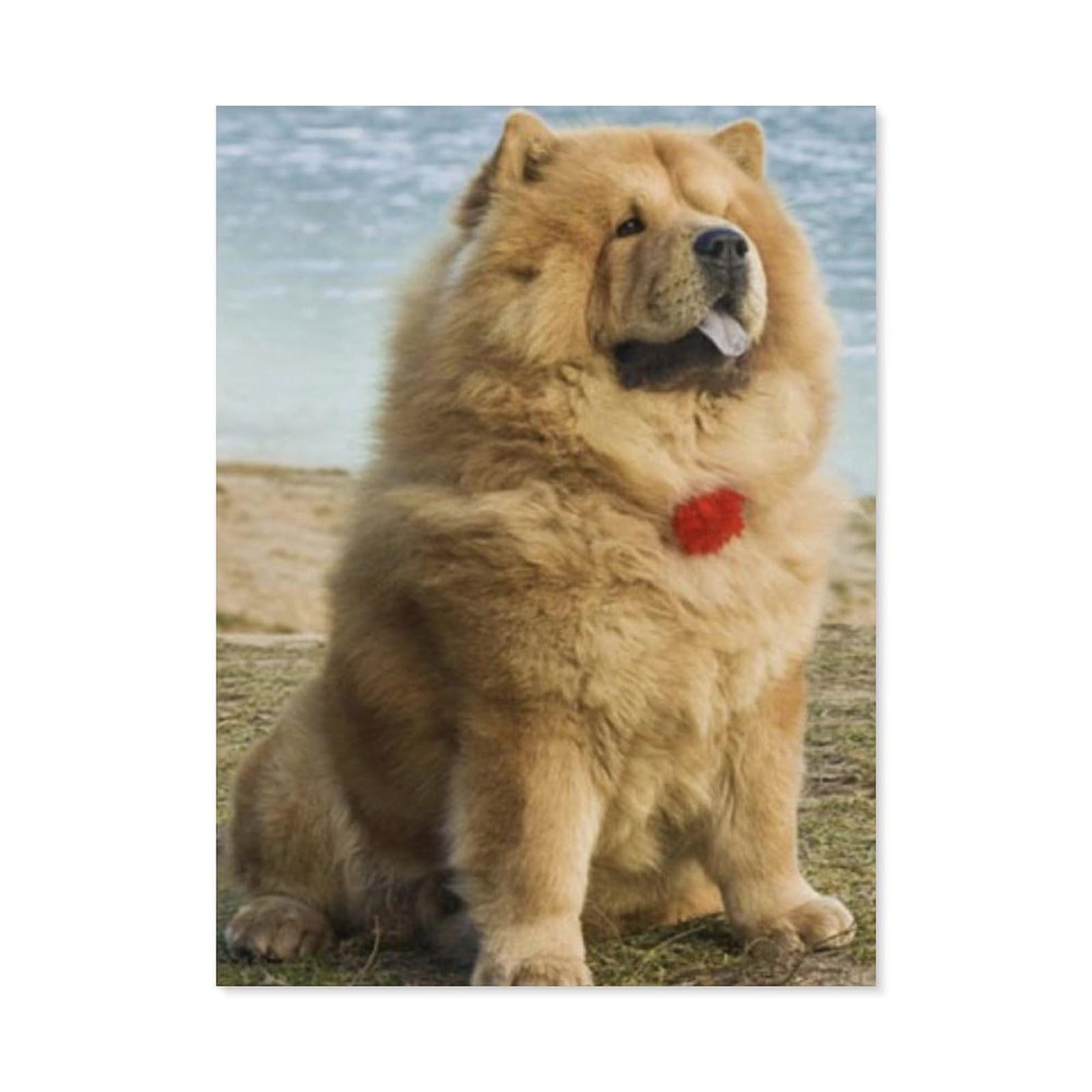 BEAYODKP Paint by Numbers，Animals Chow Chow Dog Animal，DIY Paint by Numbers Kits for Adults Kids,Canvas Oil Painting with Brushes and Acrylic Pigment Paint by Numbers Arts Craft (40x50cm) -F64