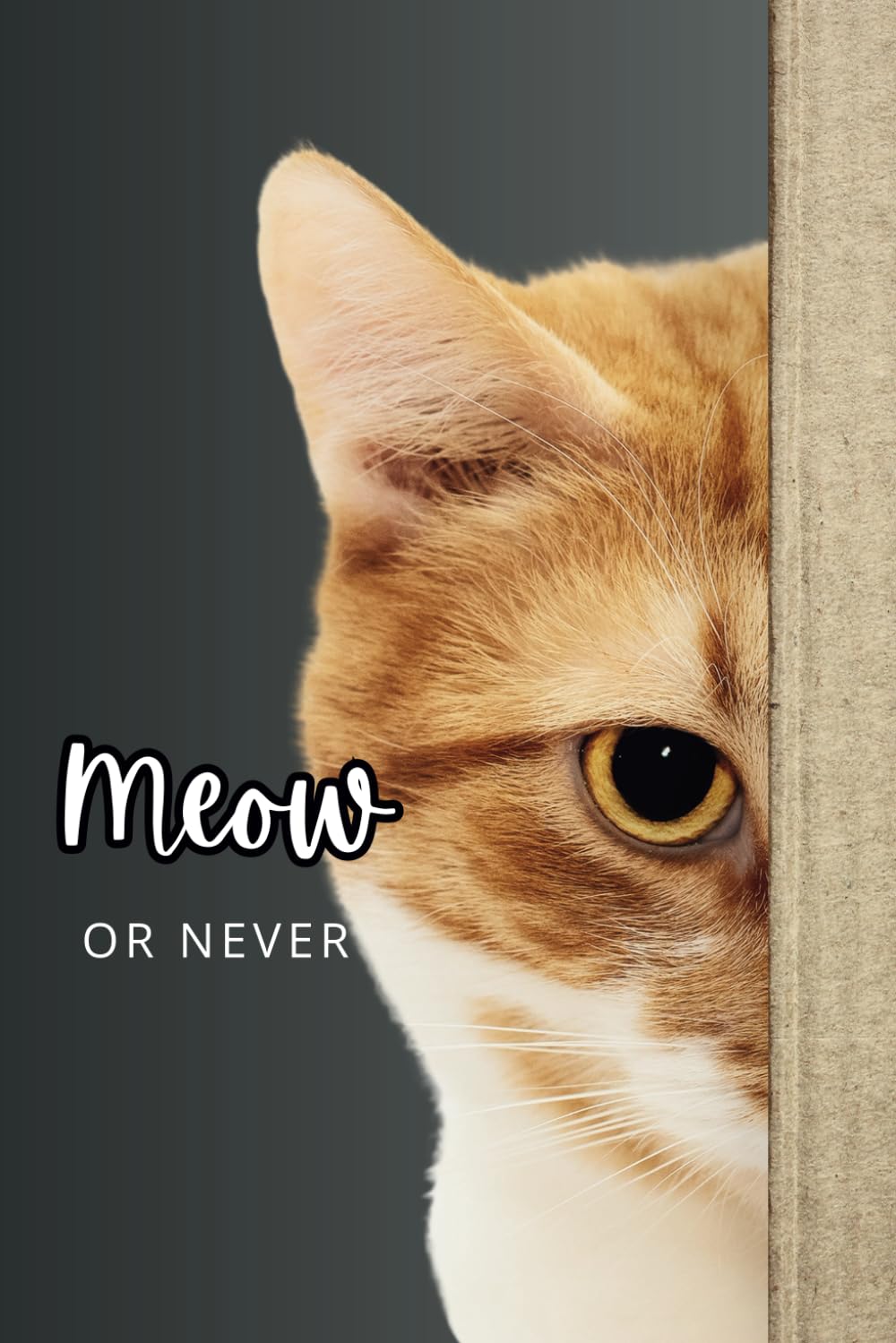 Lined blank Journal notebook for Cat lovers with cat quotes on some pages      Paperback – June 24, 2024