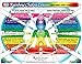 SET 4 CHARTS: REFLEXOLOGY-FOOT & HAND, CHAKRAS, & IRIDOLOGY (EYE Reflexology). in Inner Light Resources RAINBOW® Charts Series. 8.5 x 11 in. (Small Poster/ Large Cards)