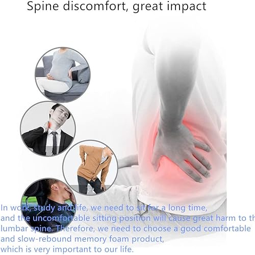 Miniatura 3 de HUARXUNEG Comfortable Lumbar Support Pillow with mesh Cover, 100% Memory Foam, Relieve Back Pain, Breathable, Improve Sitting Posture, Suitable for