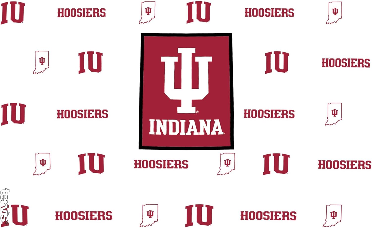 Tervis Indiana Hoosiers - Overtime Made in USA Double Walled Insulated Tumbler Travel Cup Keeps Drinks Cold & Hot, 10oz, Classic - Image 2