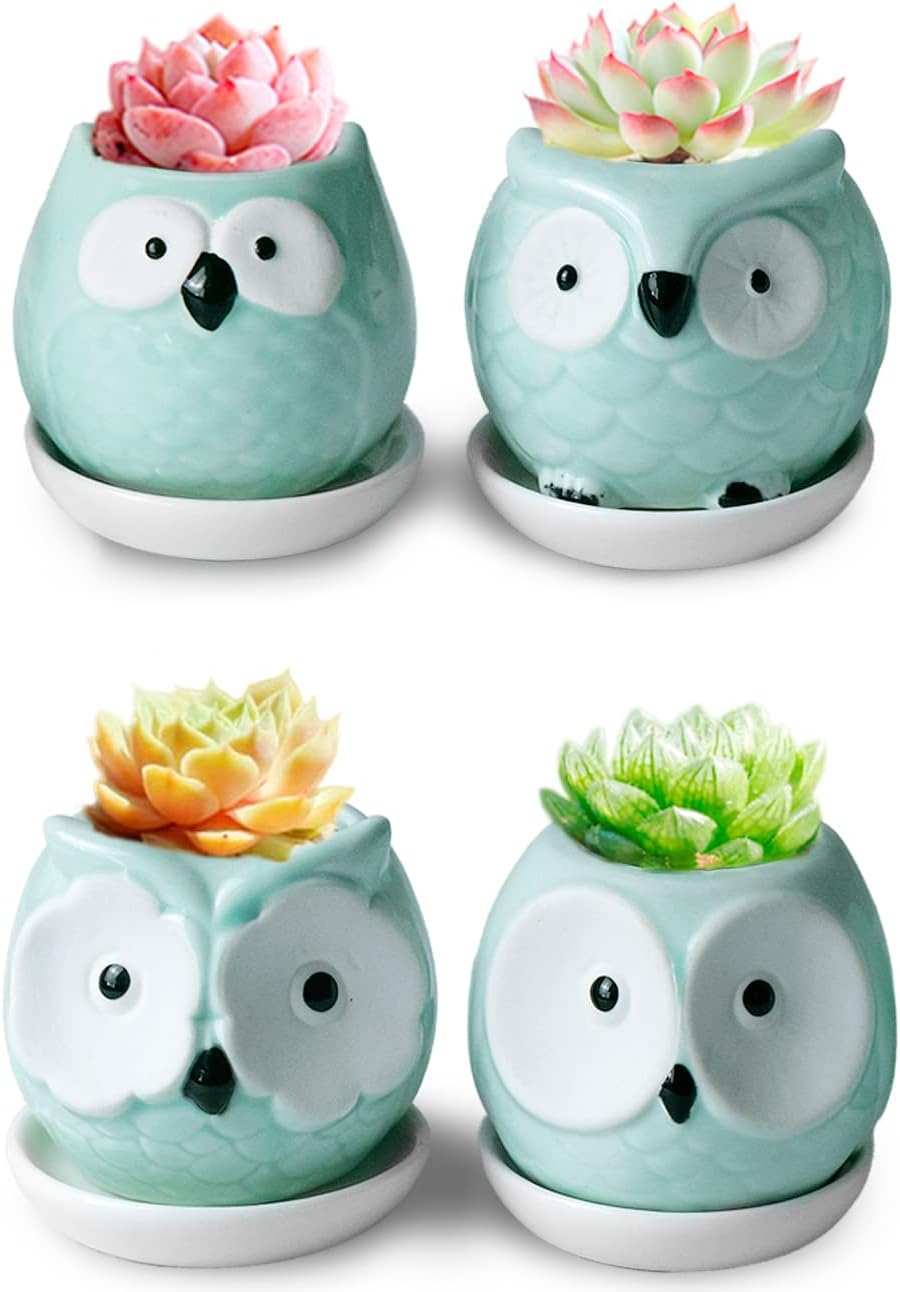 Dahlia Cute Mini Owls Ceramic Succulent Planter w Drainage Hole & Saucer, Turquoise Set of 4