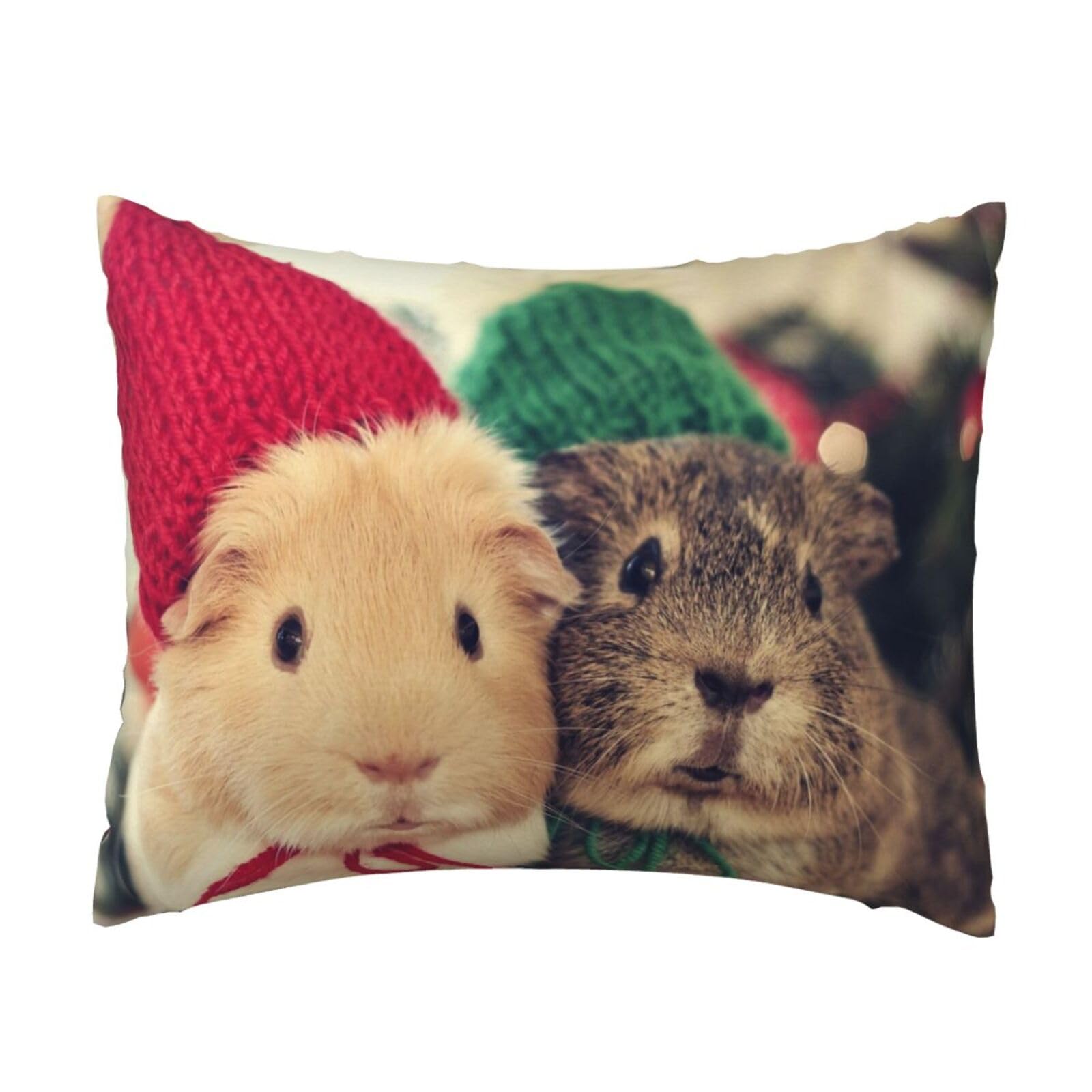 YFSGDLBN Cute guinea pigs printed Pillow Case 20x26in decorative Cushion Cover pillowcase