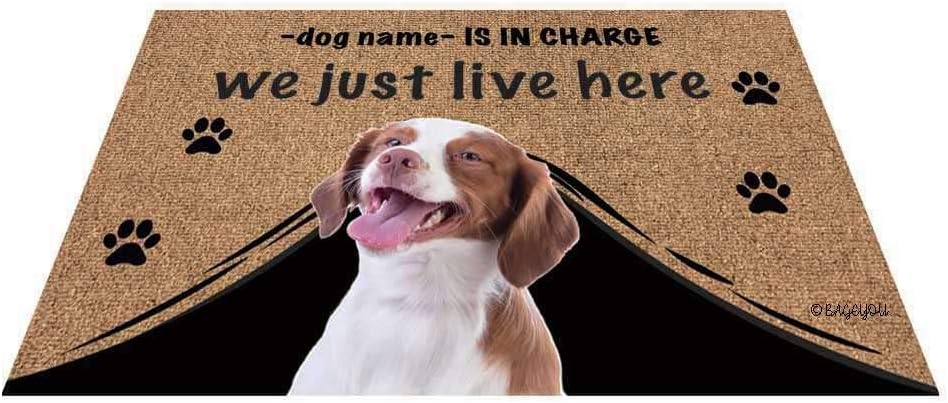 BAGEYOU Personalized Dog's Name Doormat with My Love Dog Brittany Spaniel Welcome Floor Mat Who is in Charge We Just Live Here 27.5 x 17.7