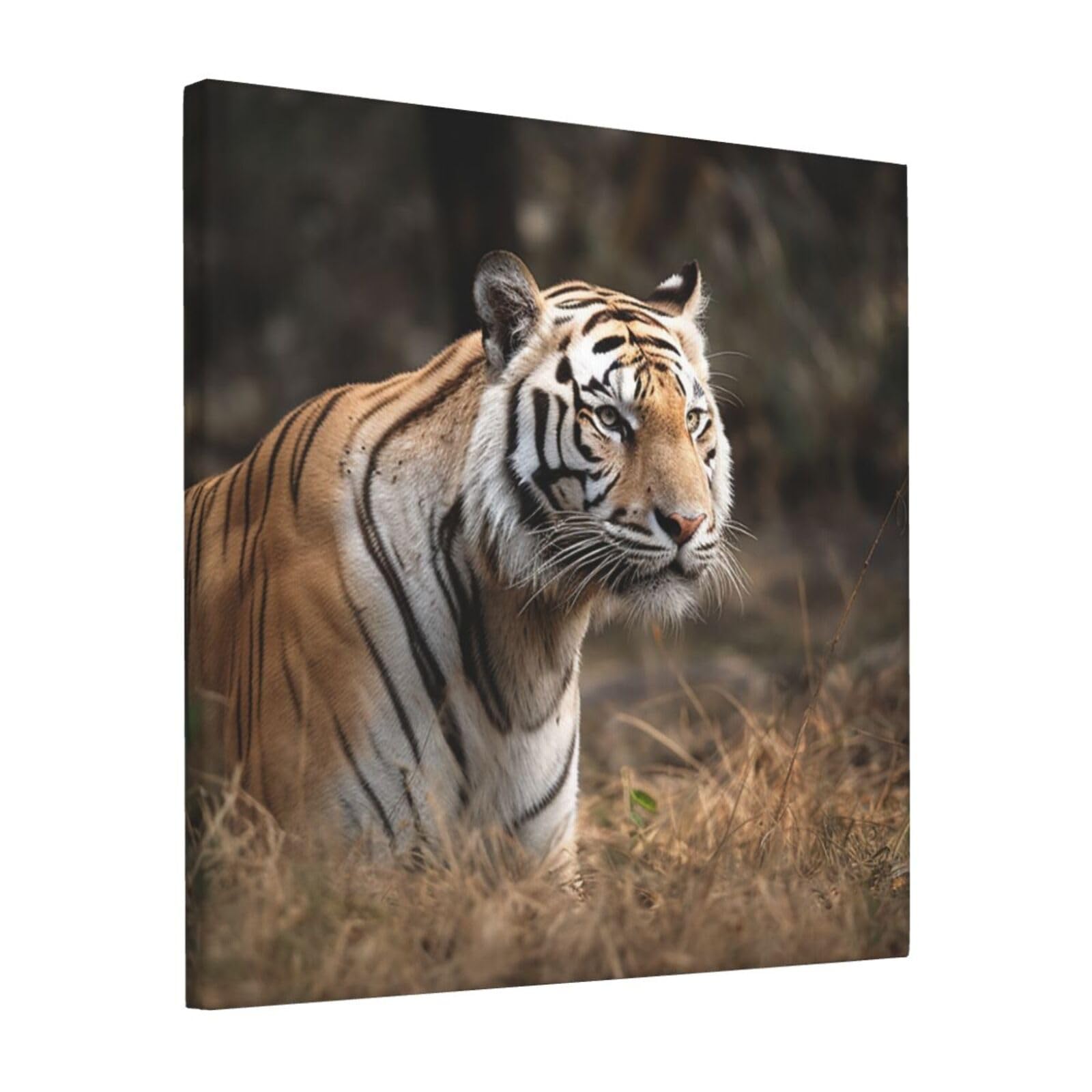 FodPand Wildlife tiger Canvas Wall Art for Living Room Wall Decor 12"x12" Modern Artwork Painting Pictures Hanging Canvas Prints Aesthetic Wall Art for Bedroom Bathroom Office Wallart Decor