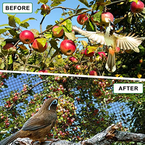 Bstpcoo BF-2CM2550 Bird Net 25'X50' Bird Netting For Chicken Coop Roof, Nylon 3/4 Inch Mesh Netting Poultry Netting Garden Netting thumb #4