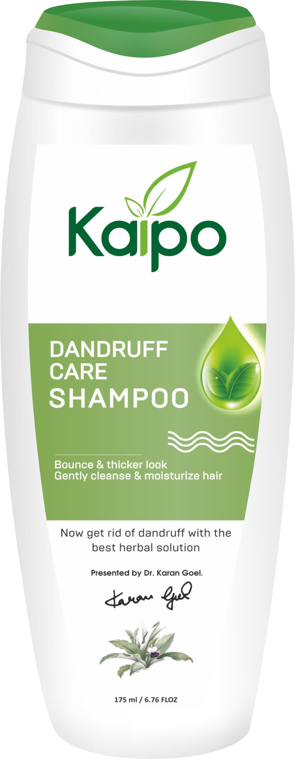 Dandruff Protein Silky Hair Fall Control - 175ml-image-19