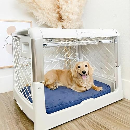 Diggs Revol Dog Crate (Collapsible Dog Crate, Portable Dog Crate, Travel Dog Crate, Dog Kennel) For Medium Dogs And Puppies (Ash) #TOP6