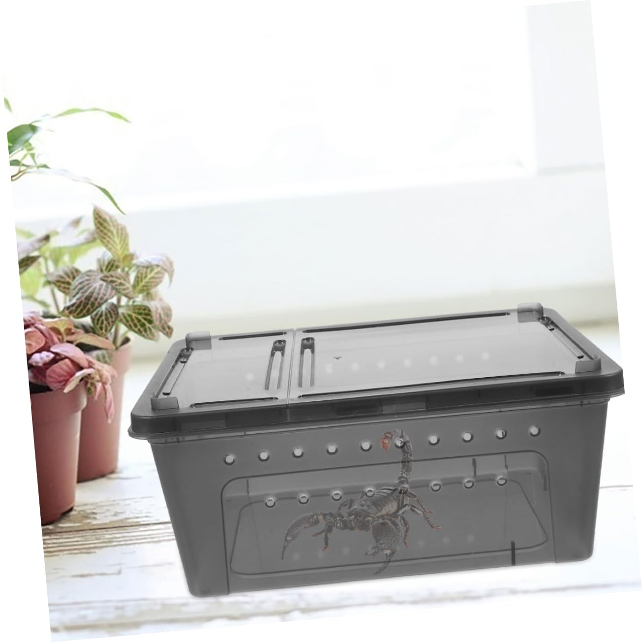 COLLBATH 6pezzi per Rettili per Allevamento Reptile per Gechi e Insetti Design e Facile e Osservare