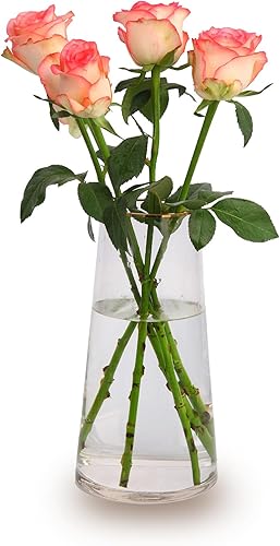 Miniatura 9 de Florero de cristal transparente con boca dorada, jarrón grande de vidrio transparente para centros de mesa, jarrones modernos para decoración de