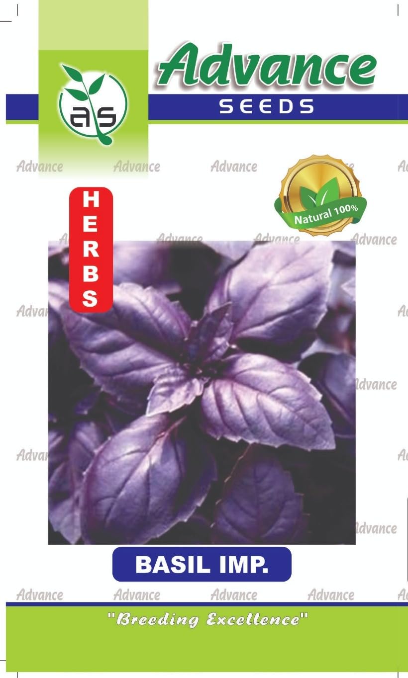 UGROW Italian Herb Seeds – Grow Fresh Red Basil at Home | Non-GMO, Organic | Perfect for Pesto, Salads & More | Fast-Growing | 25 Seeds
