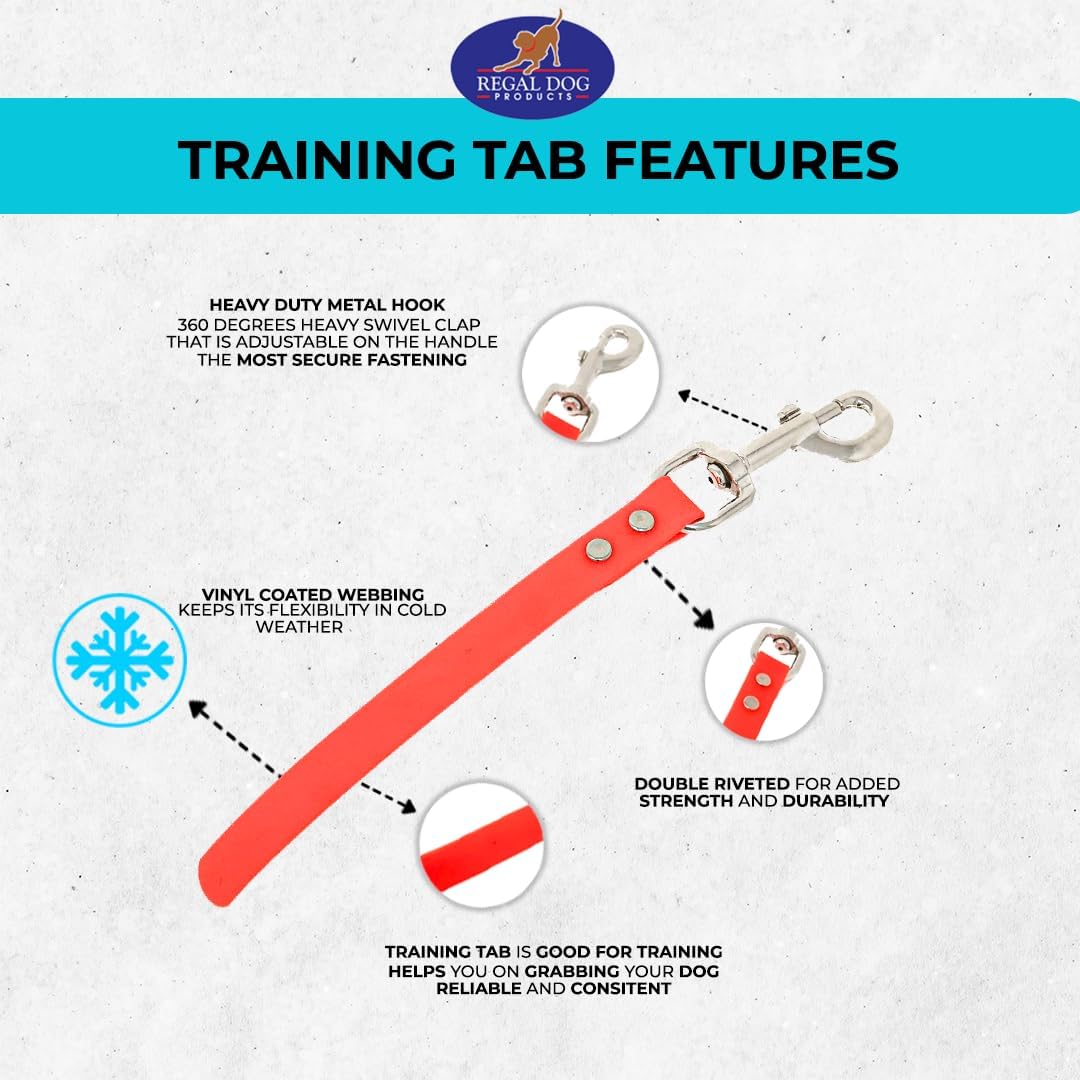 Regal Dog Products Training Tab Leash, Grab Handle, Nickel Hardware, Orange | Nickel-Plated Hardware, Short Grab Tab Design, Great for Obedience Training, Waterproof Biothane, Durable