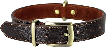 Adams leather collar Clearance