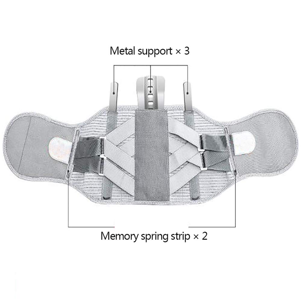 Cintura Lombare di Sostegno - Supporto per la Parte Bassa della Schiena - per ernia del Disco, Sciatica, scoliosi, stenosi spinale - Magnetoterapia,M