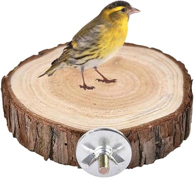 Birds Round Perch Platform, 6cm Wooden Perch Platform for Bird Cage, Parrots Perch Playground Stand Exercise Toy Standing Cage Accessories for Small Parakeets Cockatiels Hamster Gerbil Rat Mouse