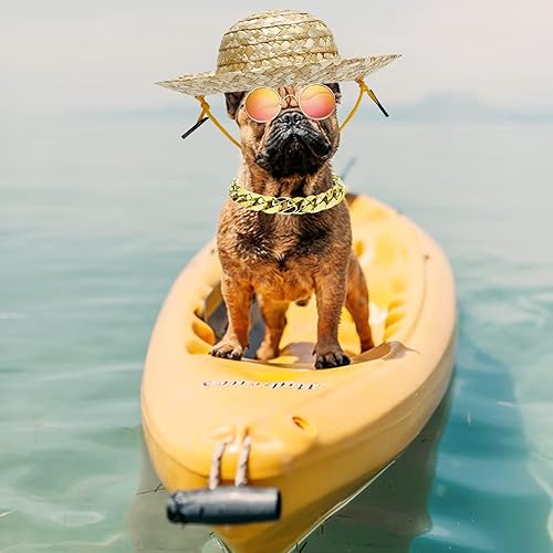 Miniatura 7 de 6 piezas de disfraz de perro y gato, lentes de sol retro para mascotas, collar de cadena dorada ajustable y sombrero de paja, accesorios divertidos