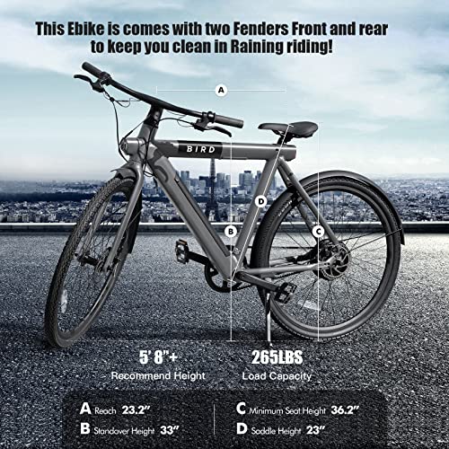 Bird Electric Bike for adults 500W Motor, 28" Mens EBike tp to 50MI - 36V Removable Battery, LCD Display, Disc Brake, manual throttle, Adults Electric Commuting Mountain Bicycle belt drive Gray
