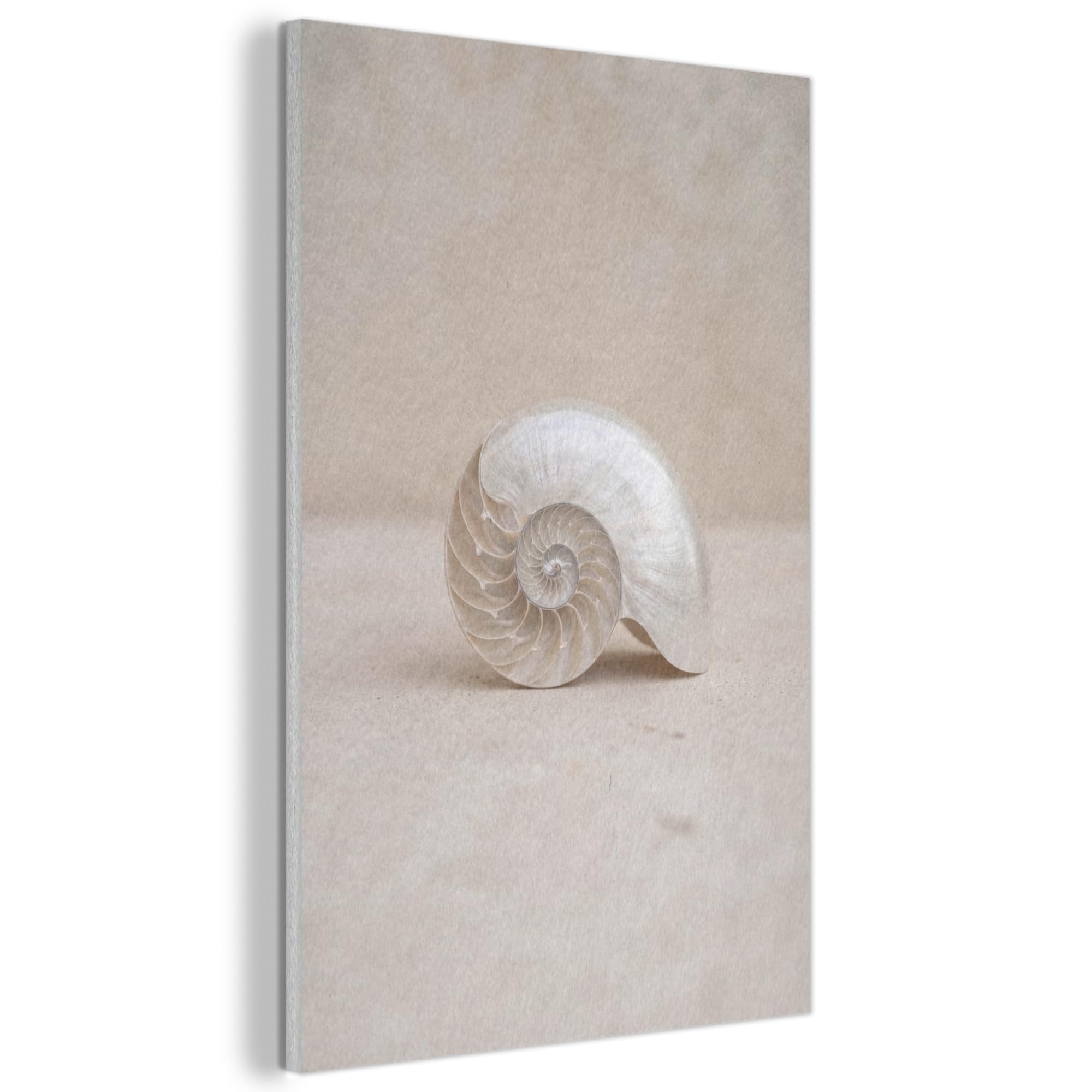 MuchoWow© Felt Panel 40x60 cm Framed Design Print Accent Interior Wallart Decoration Wall Art Shell - Spiral - Beige