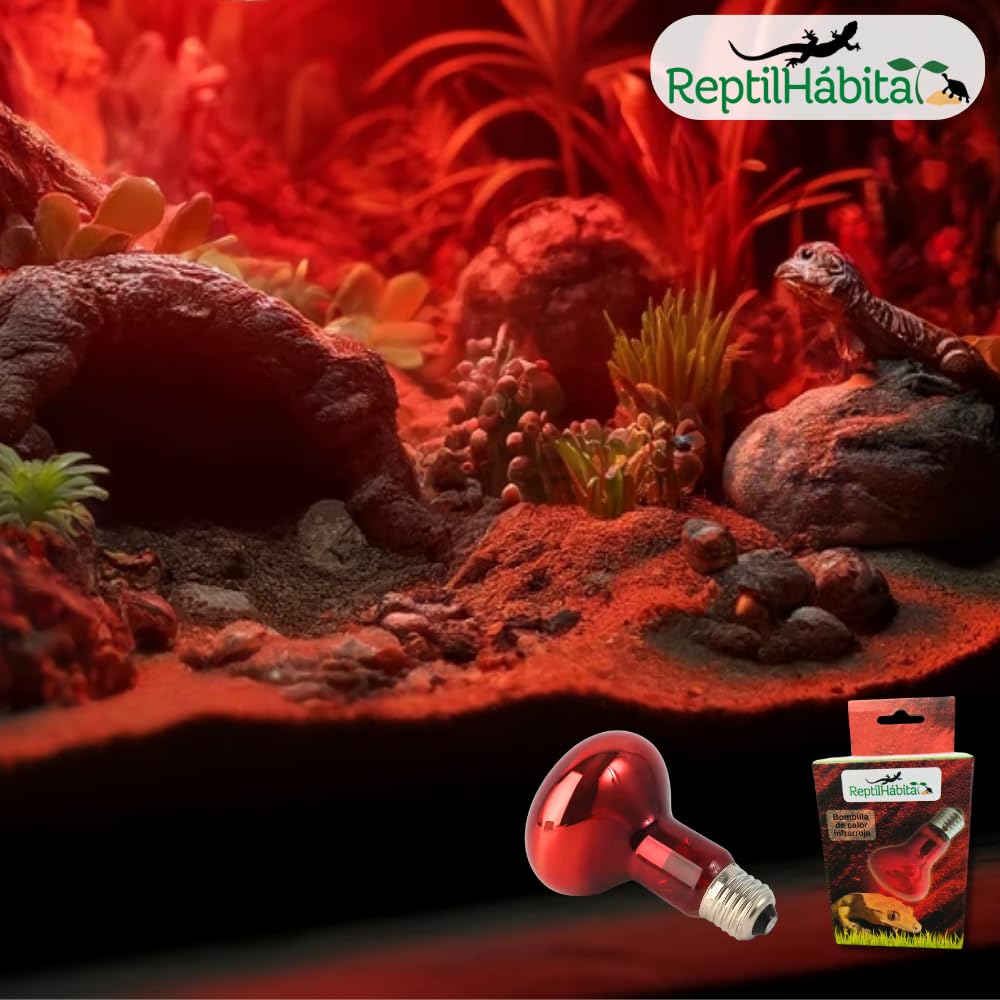 Pack 2× 25w Bombilla Infrarroja ReptilHábita – Calor para reptiles 24h – Terrarios, serpientes, tortugas, pogonas – Luz roja suave – Rosca E27 – (25W) — view 5