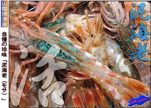 Amazon お刺身用 泥海老 モサエビ 3kg 山陰境港産 Ask Sanin 山陰境港 エビ 通販