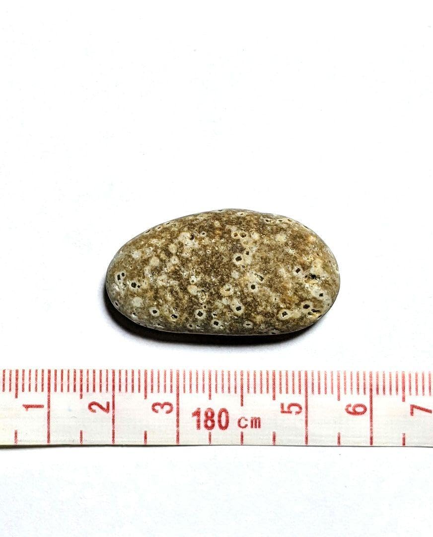 Amazon.co.jp: 青森県産 錦石 ポツポツ結晶 球顆流紋岩 個性派 原石