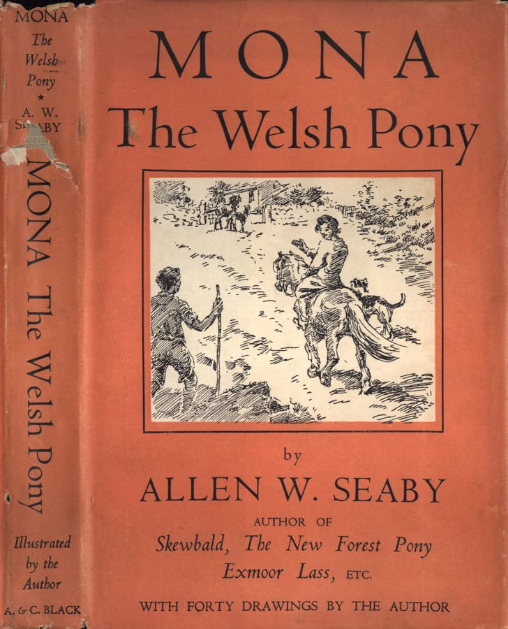  Mona. The welsh pony.