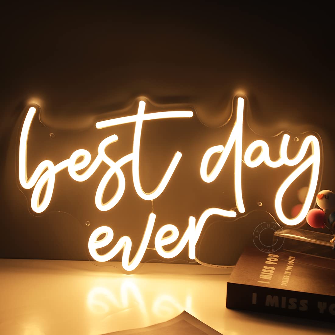 SYLHOME Best Day Ever LED Neon Light Up Sign USB Bedroom Living