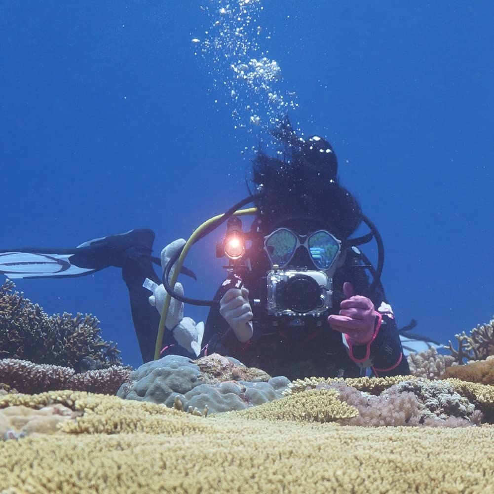 Stabilisateur de Plateau en Alliage d'Aluminium à Double Poignées pour Caméra sous-Marine