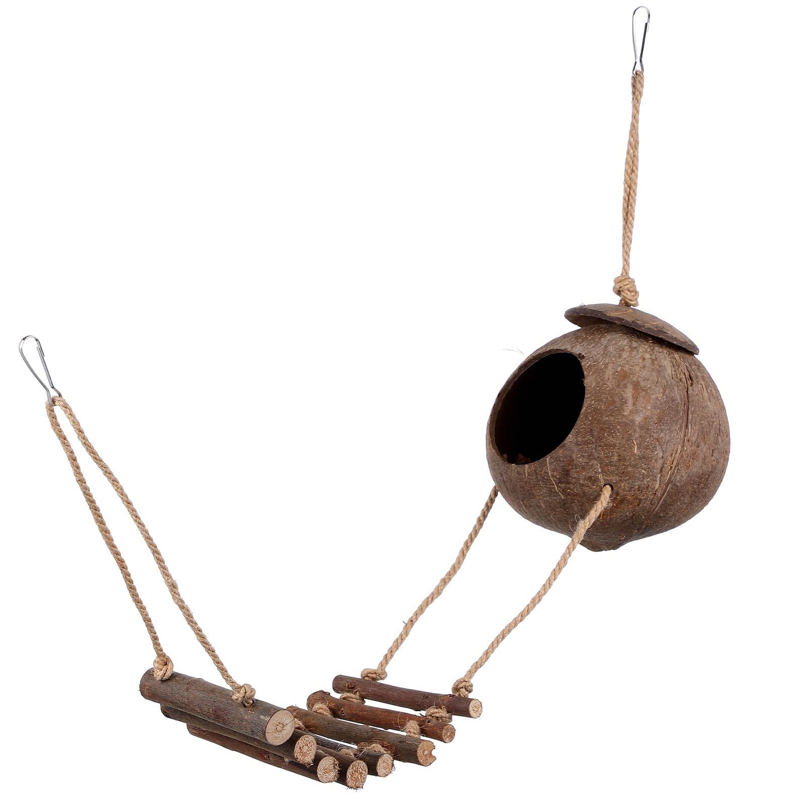 Amazon | Mipcase はしごココナッツシェルシェルターで爬虫類のトカゲ