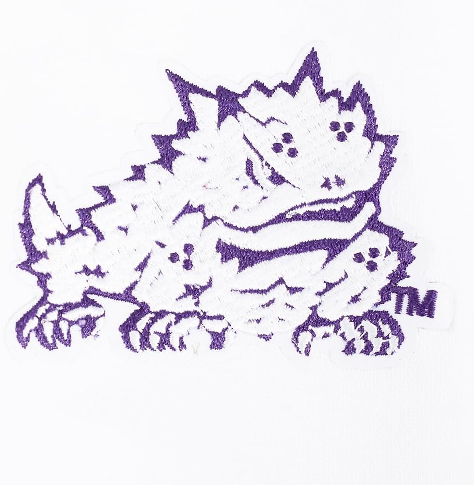 Pro Standard NCAA womens Womens College Classic Chenille Brushed Back French Terry Crewneck Sweatshirt