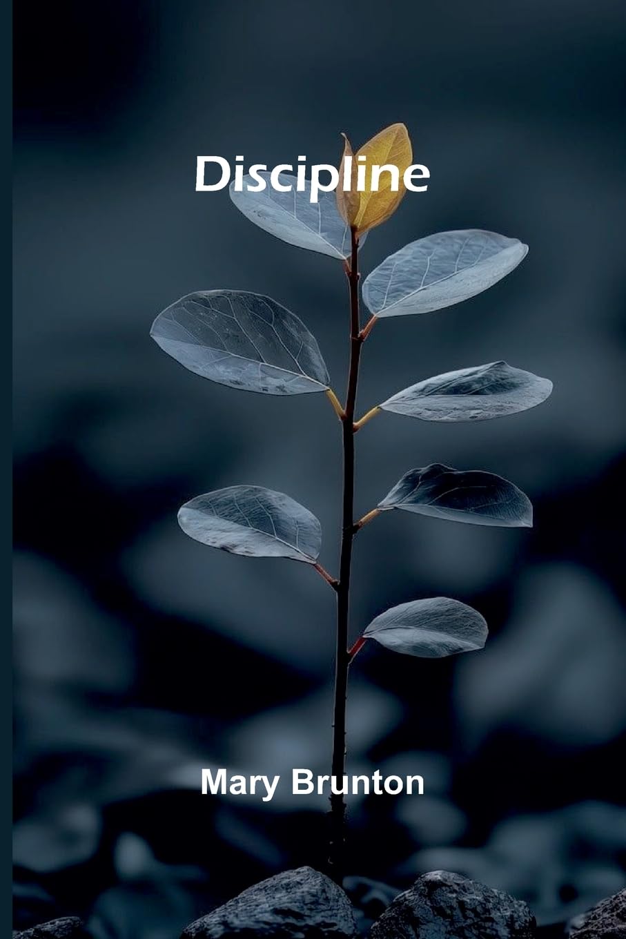 Discipline