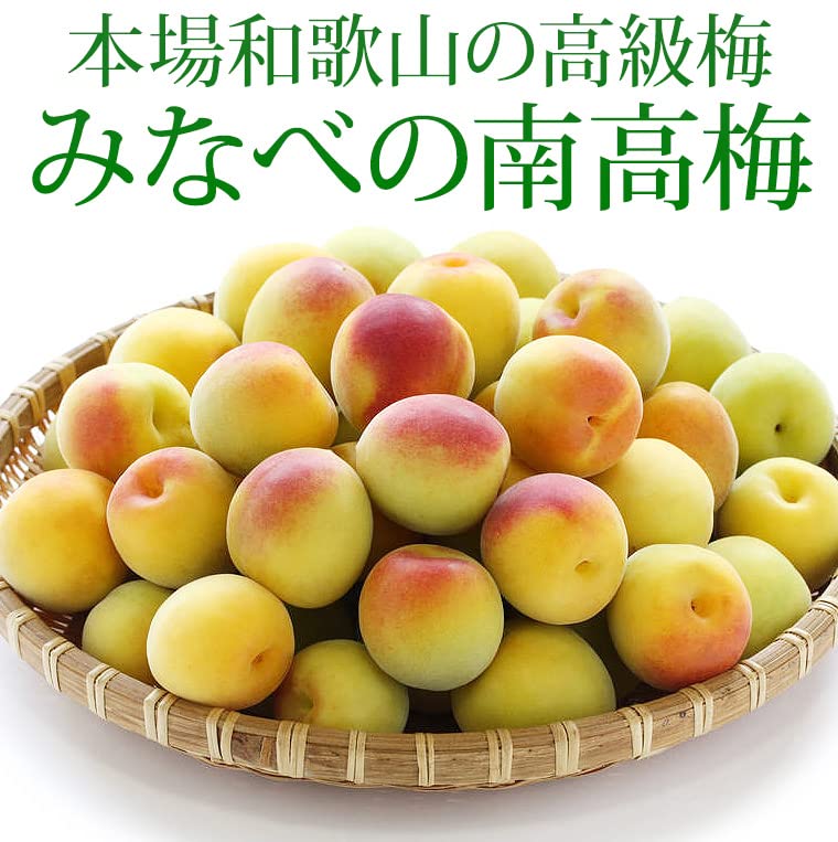Amazon.co.jp: 梅 南高梅 秀品 約10kg 3Lサイズ 和歌山県産 JA紀州