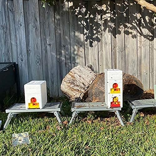 Miniatura 4 de Bee Hives Boxes Plus - Caja de nuc de doble capa para abejas Queen Bee Mating Nuc Box para abejas, reina, colmena para apicultor