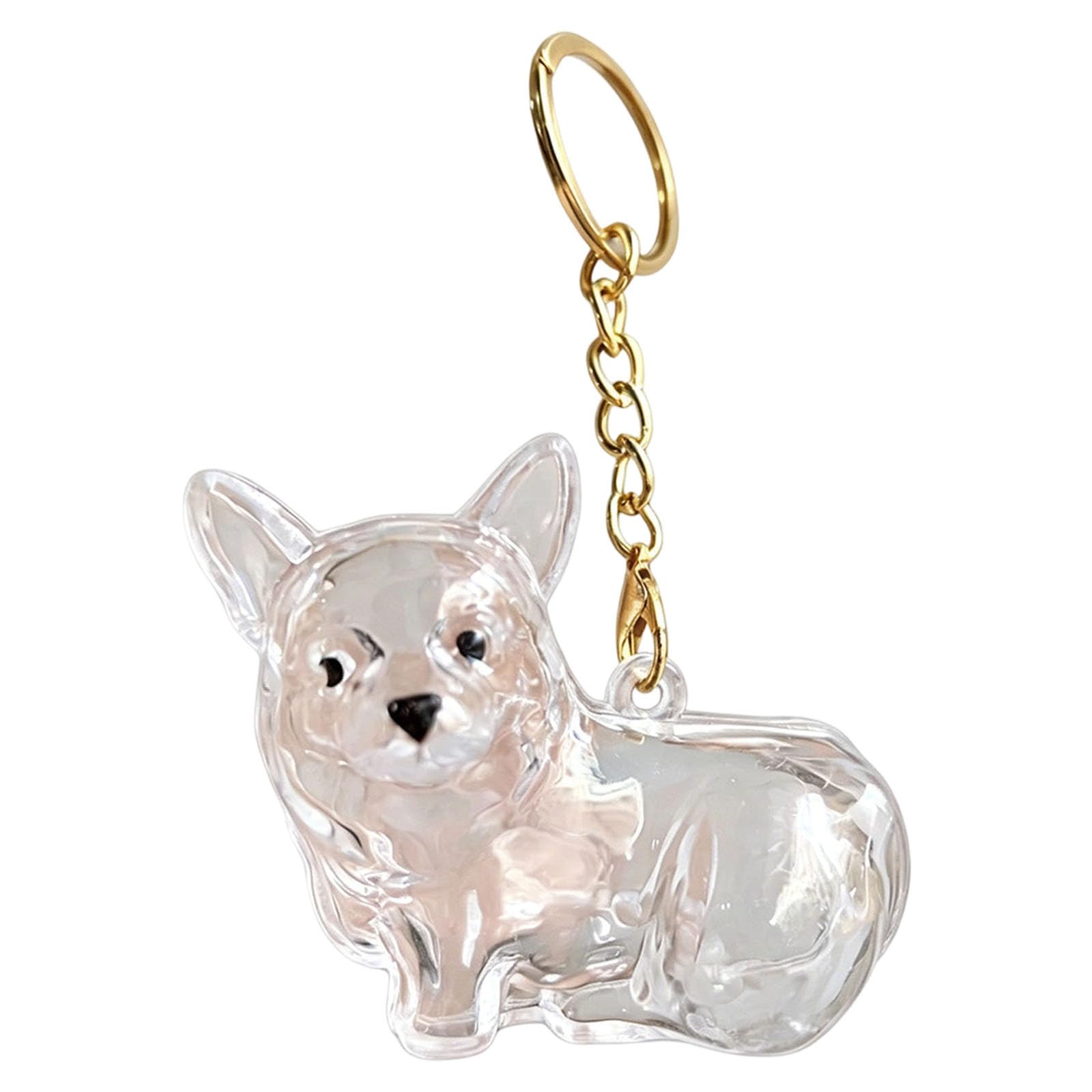 Memorial Dog Keyring, Dog Fur Keepsake, Transparent Cute Dog Hair Keepsakes, Abs Material Pet Hair Keyrings for Pet Owners, Dogs Lovers to Preserve Cherished Memories (E)