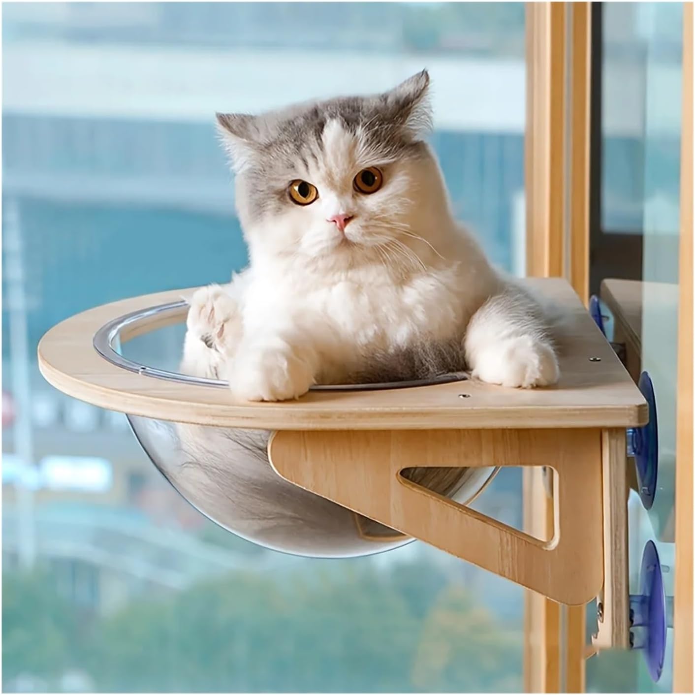 Cat Window Hammock Cat Window Perch Hammock with Suction Cups, Solid Wood Bed for Mount, Space Capsule Pet Hanging Nest for Indoor Cats Easy to Install