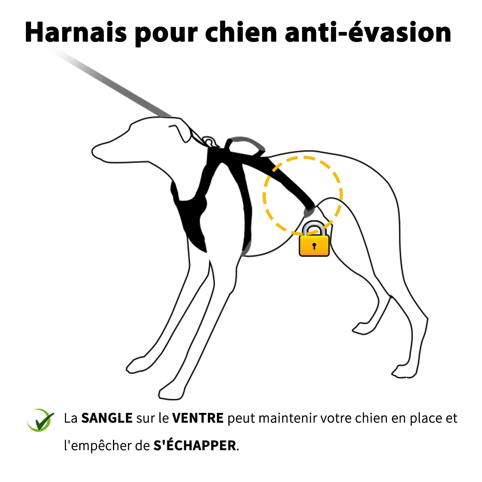 Huntboo Harnais Anti-Fugue pour Chien Entièrement Réfléchissant avec Poignée, Respirant, Durable, Gilet Réglable pour Chiens de Taille Moyenne, pour la Marche, Le Dressage