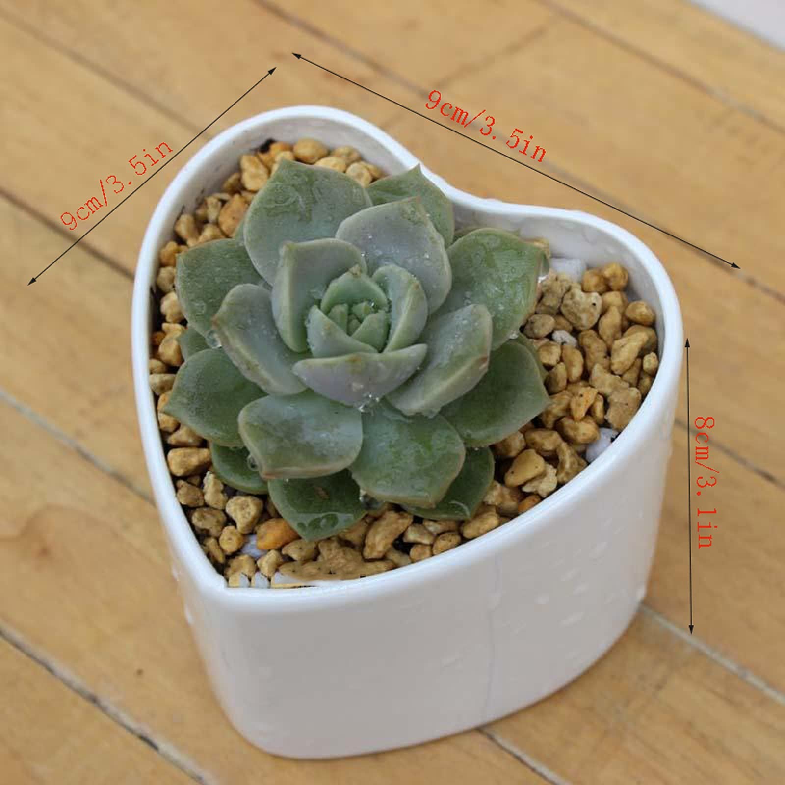 多肉 ハート型プランター 【公式通販】