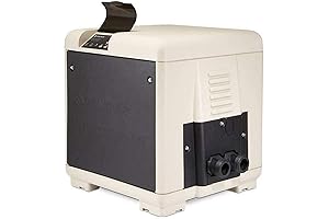 Rheem EC-462025 MasterTemp High-Performance Propane Pool Heater