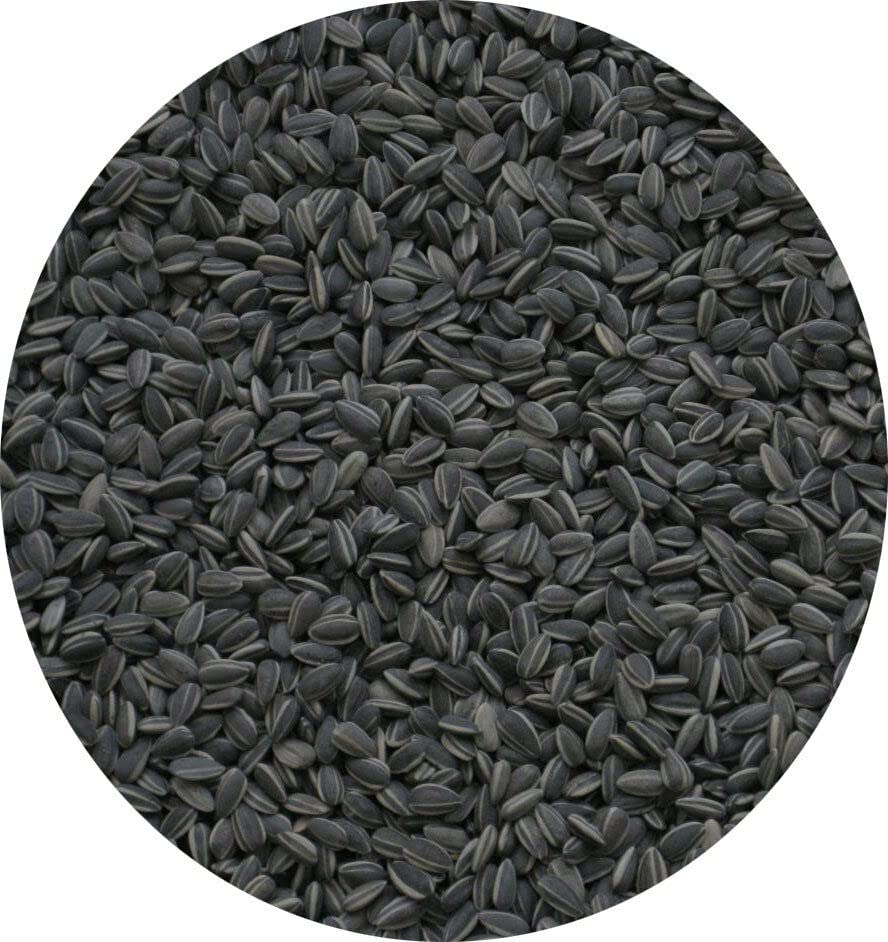 Black Sunflower Seed Wild Garden Bird Seed High Fat Content 10kg 5kg 3kg 2kg 1kg 500g (2kg)