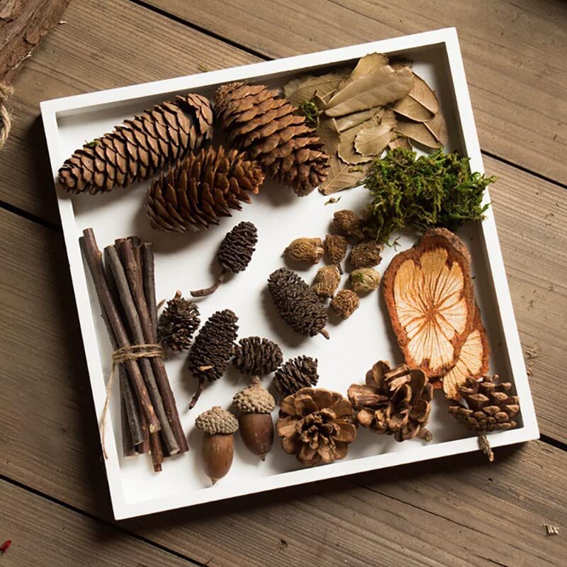 Caja con flores secas y frutos naturales mixtos miniatura 2