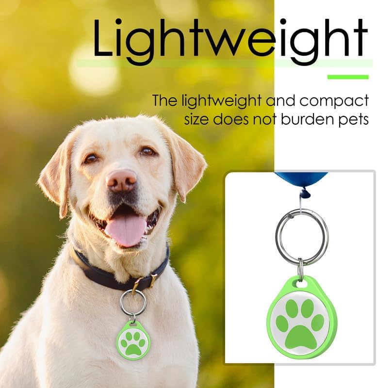 A golden retriever wearing a green ADVENTUREMORE AIR Pet ID Tag, with text highlighting the tag's lightweight design.
