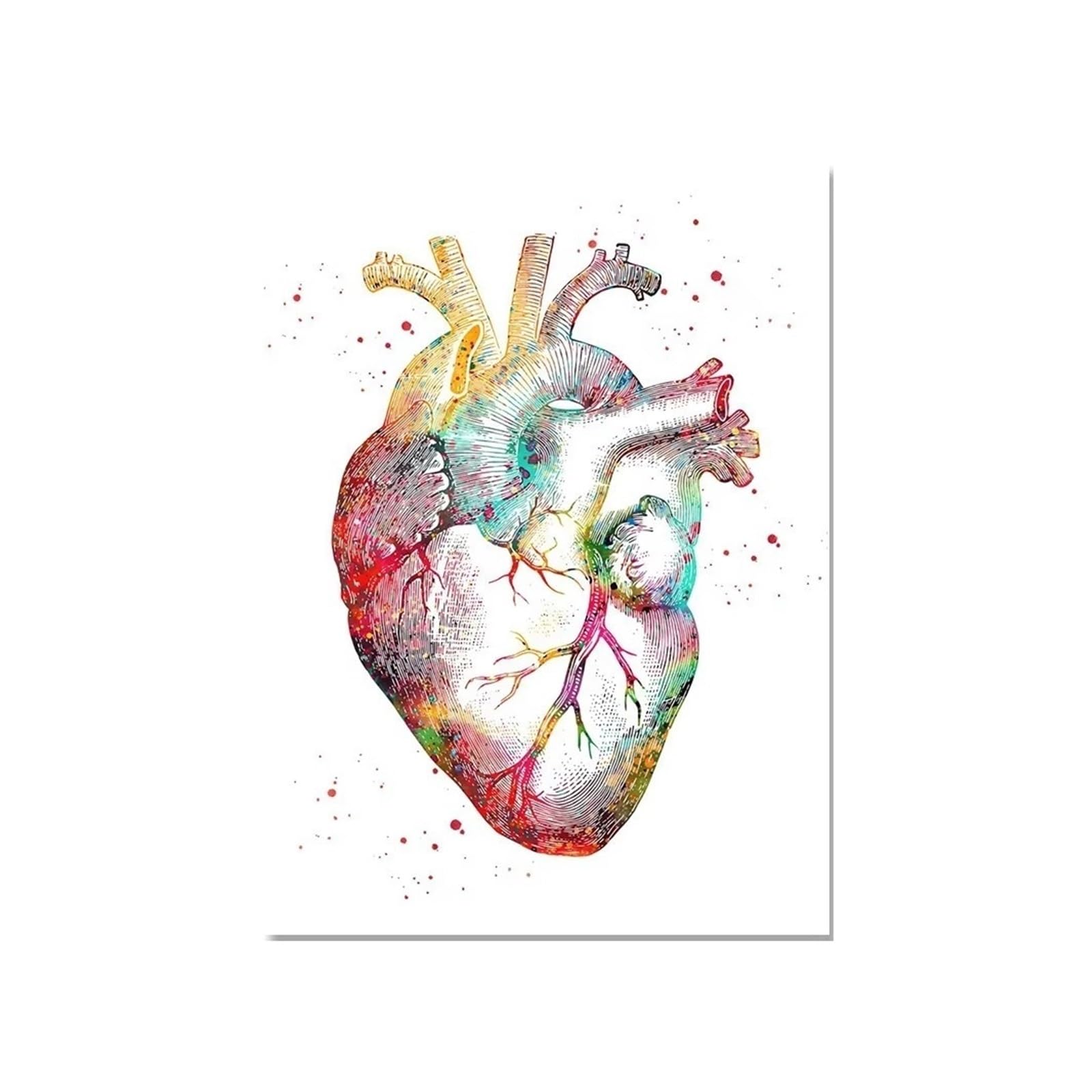 1pc Strona Główna Anatomia Człowieka Układ Mięśni Obraz Ścienny Na Płótnie Plakaty I Druki Mapa Ciała Zdjęcia Edukacja Medyczna Decor(ZLH8618,50x70cm Unframed)